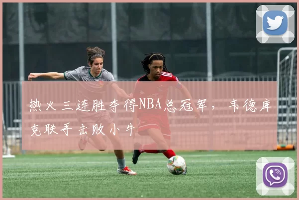 热火三连胜夺得NBA总冠军，韦德库克联手击败小牛