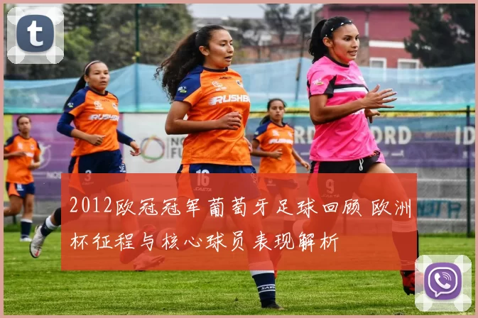 2012欧冠冠军葡萄牙足球回顾 欧洲杯征程与核心球员表现解析