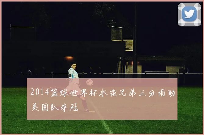 2014篮球世界杯水花兄弟三分雨助美国队夺冠