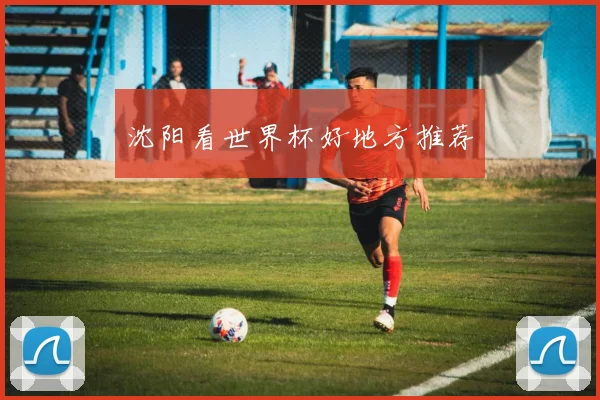 沈阳看世界杯好地方推荐